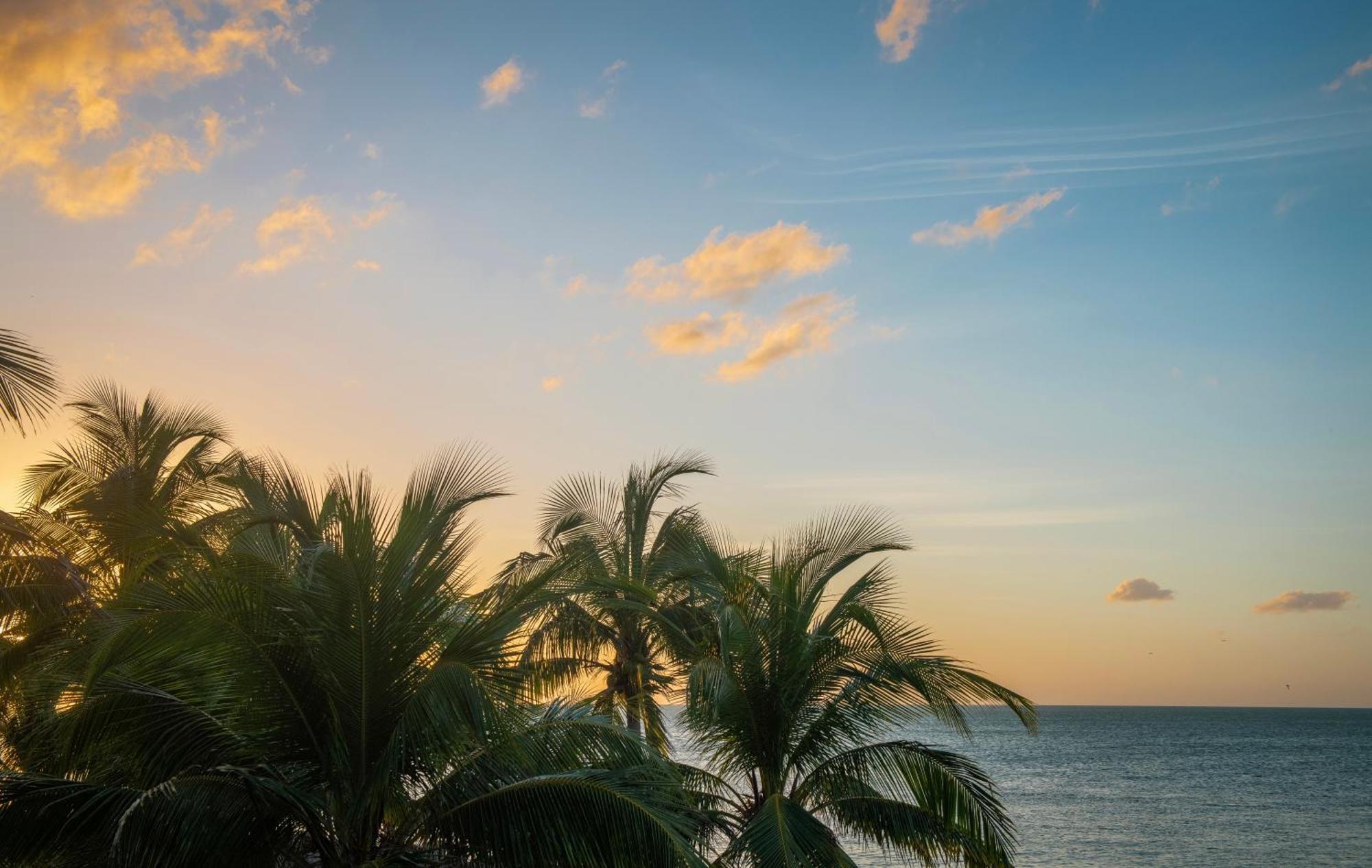 Casa Gonza Holbox Villa ภายนอก รูปภาพ